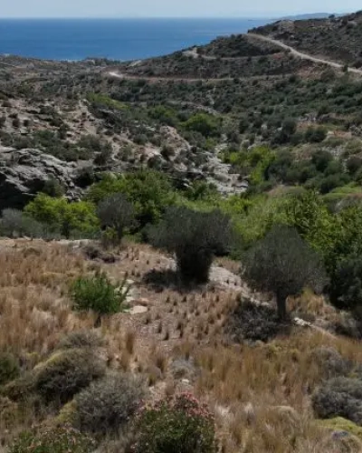 karystos-dream-villas2-768x432