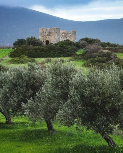 karystos-offers-various-outdoor-activities-for-nature-enthusiasts15-768x878