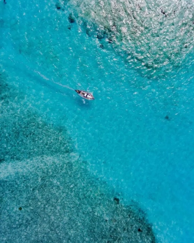 karystos-offers-various-outdoor-activities-for-nature-enthusiasts5-768x1024